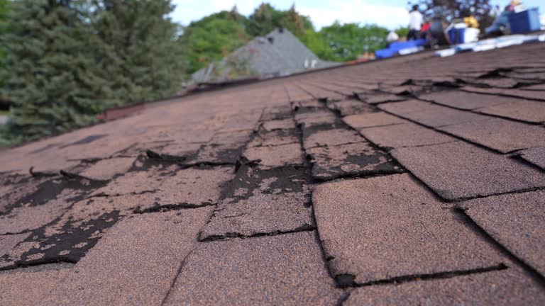Best 4 Ply Roofing  in Oro Valley, AZ