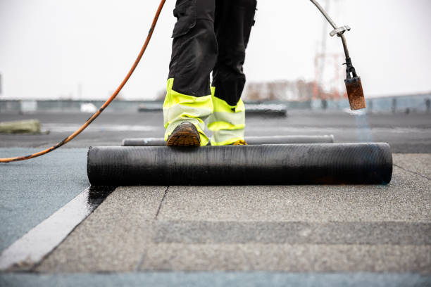 Best Sheet Metal Roofing  in Oro Valley, AZ
