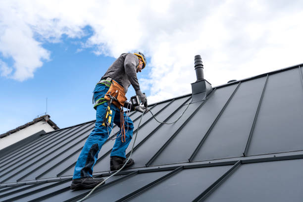 Best Steel Roofing  in Oro Valley, AZ